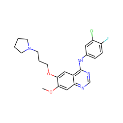 COc1cc2ncnc(Nc3ccc(F)c(Cl)c3)c2cc1OCCCN1CCCC1 ZINC000001893558