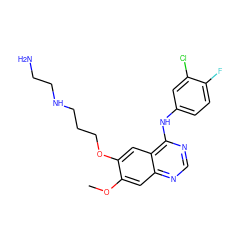 COc1cc2ncnc(Nc3ccc(F)c(Cl)c3)c2cc1OCCCNCCN ZINC000095586456