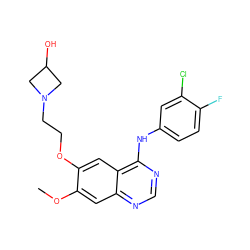 COc1cc2ncnc(Nc3ccc(F)c(Cl)c3)c2cc1OCCN1CC(O)C1 ZINC000096935094