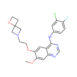 COc1cc2ncnc(Nc3ccc(F)c(Cl)c3)c2cc1OCCN1CC2(CCO2)C1 ZINC000096935092