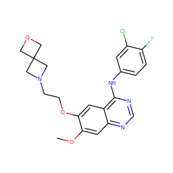 COc1cc2ncnc(Nc3ccc(F)c(Cl)c3)c2cc1OCCN1CC2(COC2)C1 ZINC000096935091