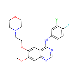 COc1cc2ncnc(Nc3ccc(F)c(Cl)c3)c2cc1OCCN1CCOCC1 ZINC000034352217