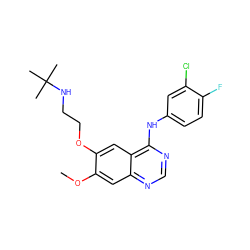 COc1cc2ncnc(Nc3ccc(F)c(Cl)c3)c2cc1OCCNC(C)(C)C ZINC000029561374