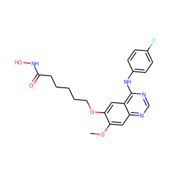 COc1cc2ncnc(Nc3ccc(F)cc3)c2cc1OCCCCCC(=O)NO ZINC000653701030