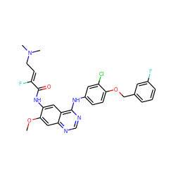 COc1cc2ncnc(Nc3ccc(OCc4cccc(F)c4)c(Cl)c3)c2cc1NC(=O)/C(F)=C/CN(C)C ZINC000145264401