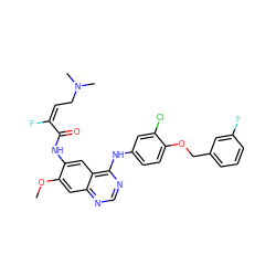 COc1cc2ncnc(Nc3ccc(OCc4cccc(F)c4)c(Cl)c3)c2cc1NC(=O)/C(F)=C\CN(C)C ZINC000214023562