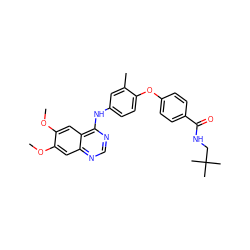 COc1cc2ncnc(Nc3ccc(Oc4ccc(C(=O)NCC(C)(C)C)cc4)c(C)c3)c2cc1OC ZINC000028706415