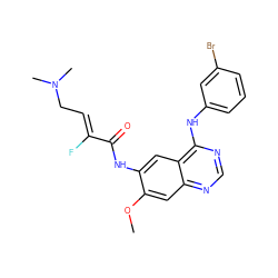 COc1cc2ncnc(Nc3cccc(Br)c3)c2cc1NC(=O)/C(F)=C/CN(C)C ZINC000145273201