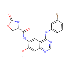 COc1cc2ncnc(Nc3cccc(Br)c3)c2cc1NC(=O)[C@@H]1COC(=O)N1 ZINC000219780593