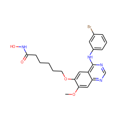 COc1cc2ncnc(Nc3cccc(Br)c3)c2cc1OCCCCCC(=O)NO ZINC000473154269