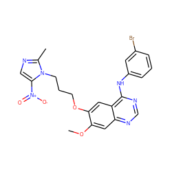 COc1cc2ncnc(Nc3cccc(Br)c3)c2cc1OCCCn1c([N+](=O)[O-])cnc1C ZINC000299818551