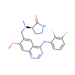 COc1cc2ncnc(Nc3cccc(Cl)c3F)c2cc1CN(C)[C@@H]1CCNC1=O ZINC000034800017