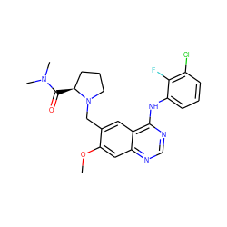 COc1cc2ncnc(Nc3cccc(Cl)c3F)c2cc1CN1CCC[C@@H]1C(=O)N(C)C ZINC000034800012