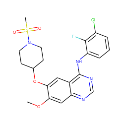 COc1cc2ncnc(Nc3cccc(Cl)c3F)c2cc1OC1CCN(S(C)(=O)=O)CC1 ZINC000003818202