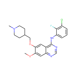 COc1cc2ncnc(Nc3cccc(Cl)c3F)c2cc1OCC1CCN(C)CC1 ZINC000034800125