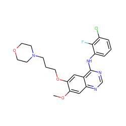 COc1cc2ncnc(Nc3cccc(Cl)c3F)c2cc1OCCCN1CCOCC1 ZINC000034800126