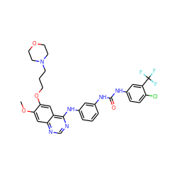 COc1cc2ncnc(Nc3cccc(NC(=O)Nc4ccc(Cl)c(C(F)(F)F)c4)c3)c2cc1OCCCN1CCOCC1 ZINC000150522857