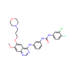 COc1cc2ncnc(Nc3cccc(NC(=O)Nc4ccc(F)c(Cl)c4)c3)c2cc1OCCCN1CCOCC1 ZINC000103297187