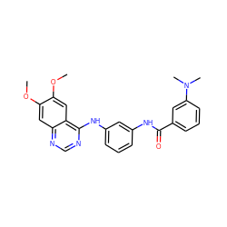 COc1cc2ncnc(Nc3cccc(NC(=O)c4cccc(N(C)C)c4)c3)c2cc1OC ZINC000028388724