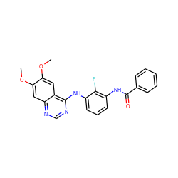 COc1cc2ncnc(Nc3cccc(NC(=O)c4ccccc4)c3F)c2cc1OC ZINC000028360068