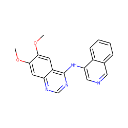 COc1cc2ncnc(Nc3cncc4ccccc34)c2cc1OC ZINC000003815158