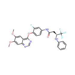 COc1cc2ncnc(Oc3ccc(NC(=O)C[C@H](Nc4ccccc4)C(F)(F)F)cc3F)c2cc1OC ZINC000049762800