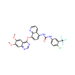 COc1cc2ncnc(Oc3ccc(NC(=O)Nc4ccc(Cl)c(C(F)(F)F)c4)c4cccnc34)c2cc1OC ZINC001772614525