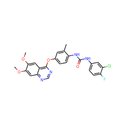 COc1cc2ncnc(Oc3ccc(NC(=O)Nc4ccc(F)c(Cl)c4)c(C)c3)c2cc1OC ZINC000084588093