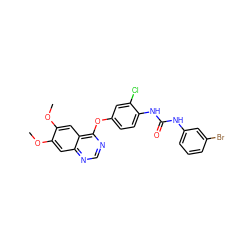 COc1cc2ncnc(Oc3ccc(NC(=O)Nc4cccc(Br)c4)c(Cl)c3)c2cc1OC ZINC000200548982