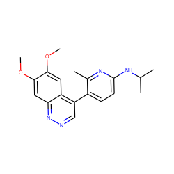 COc1cc2nncc(-c3ccc(NC(C)C)nc3C)c2cc1OC ZINC000073314317