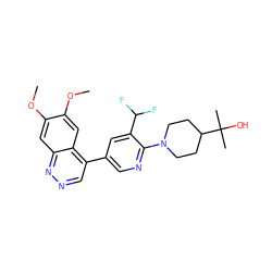 COc1cc2nncc(-c3cnc(N4CCC(C(C)(C)O)CC4)c(C(F)F)c3)c2cc1OC ZINC000059050124