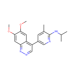 COc1cc2nncc(-c3cnc(NC(C)C)c(C)c3)c2cc1OC ZINC000073373260