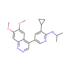 COc1cc2nncc(-c3cnc(NC(C)C)c(C4CC4)c3)c2cc1OC ZINC000059047316