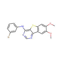 COc1cc2sc3c(Nc4cccc(Br)c4)ncnc3c2cc1OC ZINC000003815344