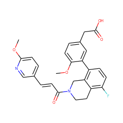 COc1ccc(/C=C/C(=O)N2CCc3c(F)ccc(-c4cc(CC(=O)O)ccc4OC)c3C2)cn1 ZINC000143882084