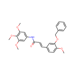 COc1ccc(/C=C/C(=O)Nc2cc(OC)c(OC)c(OC)c2)cc1OCc1ccccc1 ZINC000169310434