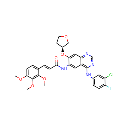 COc1ccc(/C=C/C(=O)Nc2cc3c(Nc4ccc(F)c(Cl)c4)ncnc3cc2O[C@H]2CCOC2)c(OC)c1OC ZINC000653792920