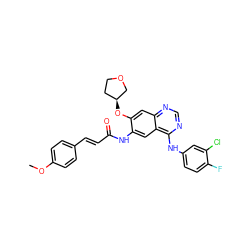 COc1ccc(/C=C/C(=O)Nc2cc3c(Nc4ccc(F)c(Cl)c4)ncnc3cc2O[C@H]2CCOC2)cc1 ZINC000653788978