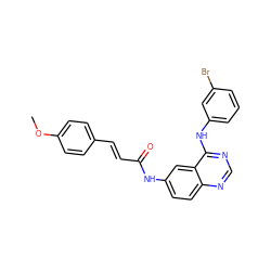 COc1ccc(/C=C/C(=O)Nc2ccc3ncnc(Nc4cccc(Br)c4)c3c2)cc1 ZINC000072108569