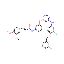 COc1ccc(/C=C/C(=O)Nc2cccc(Oc3cc(Nc4ccc(OCc5cccc(F)c5)c(Cl)c4)ncn3)c2)cc1OC ZINC000082150626