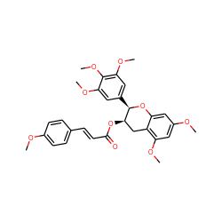 COc1ccc(/C=C/C(=O)O[C@@H]2Cc3c(OC)cc(OC)cc3O[C@@H]2c2cc(OC)c(OC)c(OC)c2)cc1 ZINC000200353285