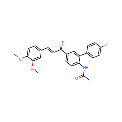 COc1ccc(/C=C/C(=O)c2ccc(NC(C)=O)c(-c3ccc(F)cc3)c2)cc1OC ZINC000073197213