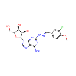 COc1ccc(/C=N/Nc2nc(N)c3ncn([C@@H]4O[C@H](CO)[C@@H](O)[C@H]4O)c3n2)cc1Cl ZINC000095581837