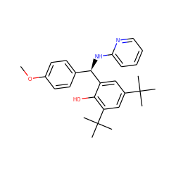 COc1ccc([C@@H](Nc2ccccn2)c2cc(C(C)(C)C)cc(C(C)(C)C)c2O)cc1 ZINC000001572794