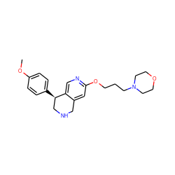 COc1ccc([C@@H]2CNCc3cc(OCCCN4CCOCC4)ncc32)cc1 ZINC000028883594