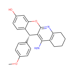 COc1ccc([C@@H]2c3ccc(O)cc3Oc3nc4c(c(N)c32)CCCC4)cc1 ZINC000103268664