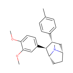 COc1ccc([C@H]2[C@H](c3ccc(C)cc3)C[C@@H]3CC[C@H]2N3C)cc1OC ZINC000028638196