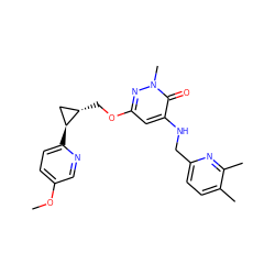 COc1ccc([C@H]2C[C@@H]2COc2cc(NCc3ccc(C)c(C)n3)c(=O)n(C)n2)nc1 ZINC000218537988