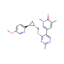 COc1ccc([C@H]2C[C@@H]2COc2nc(C)ncc2-c2cc(C)c(=O)n(C)c2)nc1 ZINC000209433611