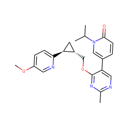 COc1ccc([C@H]2C[C@@H]2COc2nc(C)ncc2-c2ccc(=O)n(C(C)C)c2)nc1 ZINC000222637407